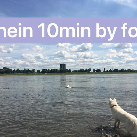 Igo Apartment 2 Schlafenzimmer Mit Waschmaschine Trockner Haustier Rheinufer 5Min Netflix Disney Plus 17-6 Duisburg Eksteriør billede