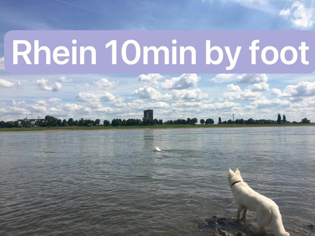 Igo Apartment 2 Schlafenzimmer Mit Waschmaschine Trockner Haustier Rheinufer 5Min Netflix Disney Plus 17-6 Duisburg Eksteriør billede